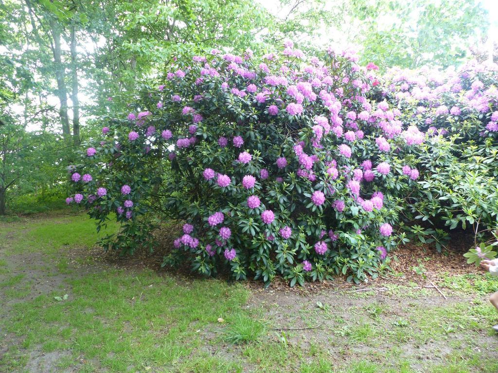 Kristiansminde Farm Holiday Tistrup 외부 사진