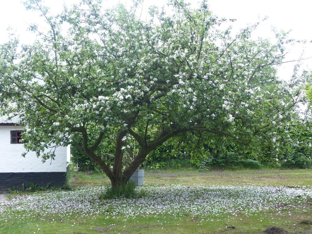 Kristiansminde Farm Holiday Tistrup 외부 사진